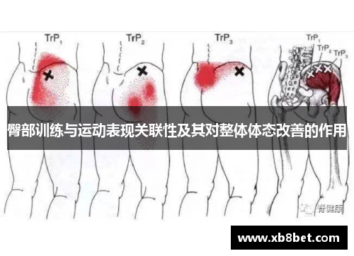 臀部训练与运动表现关联性及其对整体体态改善的作用